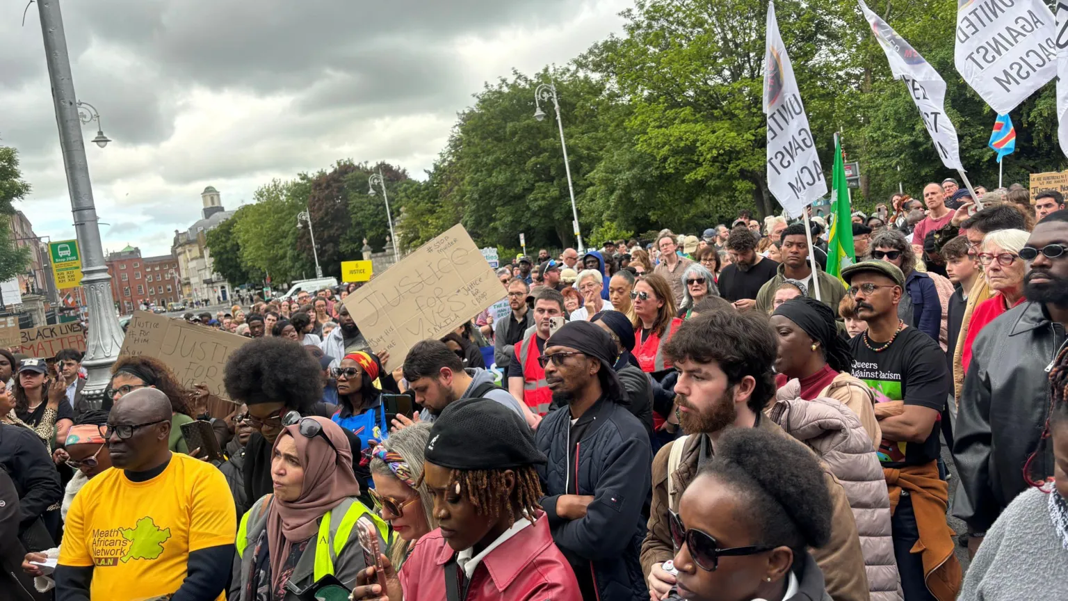 A large group of people wave flags, hold signs and stand looking in the same direction. It is a cloudy day. Tree's sit in the background of the large group. 